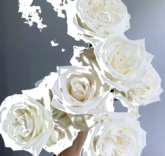 White Rose Centerpiece